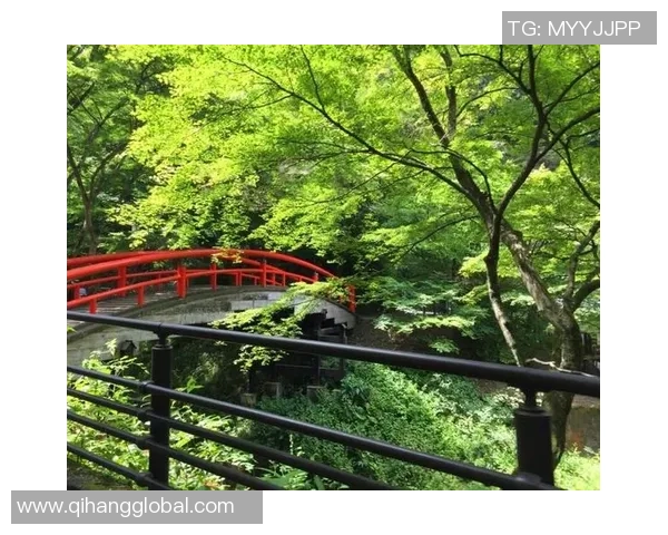 群马温泉与冈山绿的魅力对比探讨与旅游推荐